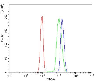 POT1 Antibody