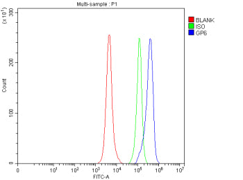 Flow Cytometry analysis of RAW264.7 cells using anti-GP6 antibody. Overlay histogram showing RAW264.