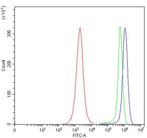 Flow cytometry testing of human JK cells with TLN1 antibody at 1ug/million cells (blocked with goat