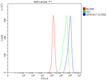 Flow Cytometry analysis of PC-3 cells using anti-SPATA17 antibody. Overlay histogram showing PC-3 ce