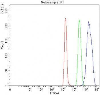 Flow cytometry testing of rat C6 cells with SMARCB1 antibody at 1ug/million cells (blocked with goat