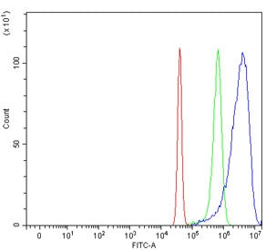 MARS1 Antibody / Methionyl-tRNA synthetase / MetRS