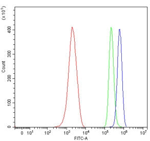 Flow cytometry testing of mouse ANA-1 cells with Glucuronosyltransferase 1A1 antibody at 1ug/million