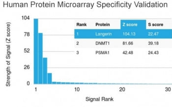 Analysis of HuProt(TM) microarray containing more than 19,000 full-length human proteins using Lange