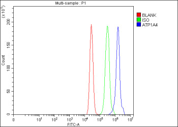 Flow Cytometry analysis of MCF-7 cells using anti-ATP1A4 antibody. Overlay histogram showing MCF-7 c