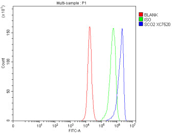 Flow Cytometry analysis of human PC-3 cells using anti-SCO2 antibody. Overlay histogram showing PC-3