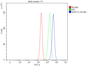 Flow Cytometry analysis of cells using anti-NUDT12 antibody. Overlay histogram showing cells stained