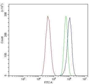 Flow cytometry testing of human U-87 MG cells with KCNA1 antibody at 1ug/million cells (blocked with