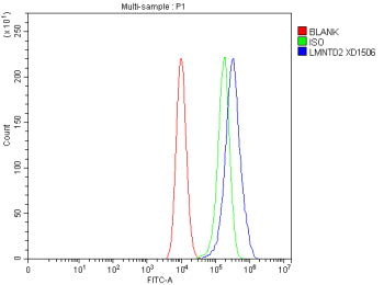 Flow Cytometry analysis of CACO-2 cells using anti-LMNTD2 antibody. Overlay histogram showing CACO-2
