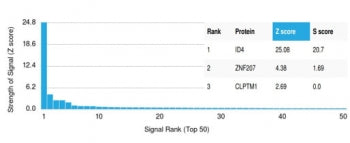 Analysis of a HuProt(TM) microarray containing more than 19,000 full-length human proteins using Inh