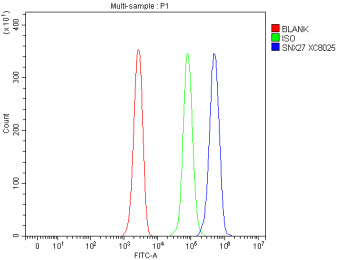 Flow Cytometry analysis of Jurkat cells using anti-SNX27 antibody. Overlay histogram showing Jurkat