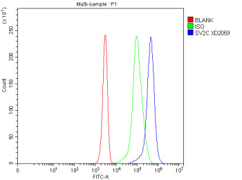 Flow Cytometry analysis of Jurkat cells using anti-SV2C antibody. Overlay histogram showing Jurkat c