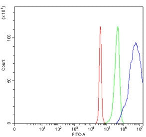 Flow cytometry testing of human SiHa cells with SAP30 antibody at 1ug/million cells (blocked with go