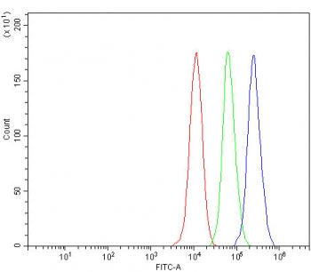 Flow cytometry testing of fixed and permeabilized human MCF7 cells with BMAL1 antibody at 1ug/millio
