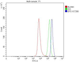 Flow Cytometry analysis of SH-SY5Y cells using anti-EFS antibody. Overlay histogram showing SH-SY5Y