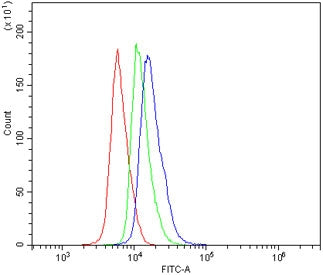 Fas Antibody / CD95