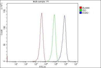 Flow Cytometry analysis of MCF-7 cells using anti-EGR2 antibody. Overlay histogram showing MCF-7 cel