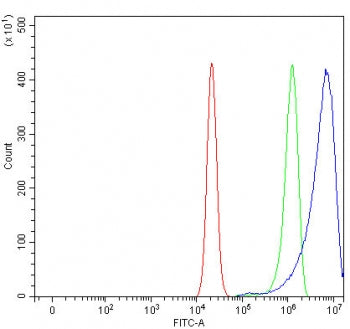 URI1 Antibody / C19orf2