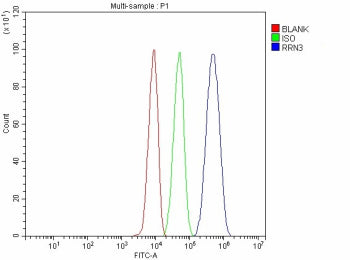 Flow Cytometry analysis of HepG2 cells using anti-RRN3 antibody. Overlay histogram showing HepG2 cel