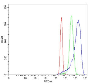 Flow cytometry testing of human MCF7 cells with MYH3 antibody at 1ug/million cells (blocked with goa