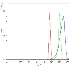Flow cytometry testing of human A549 cells with VPS41 antibody at 1ug/million cells (blocked with go