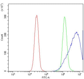 Flow cytometry testing of human K562 cells with NRGN antibody at 1ug/million cells (blocked with goa