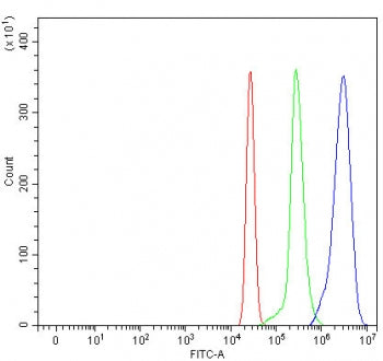 Flow cytometry testing of human U937 cells with OXER1 antibody at 1ug/million cells (blocked with go