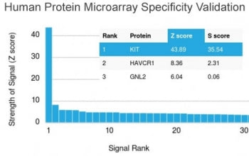 Analysis of HuProt(TM) microarray containing more than 19,000 full-length human proteins using CD117