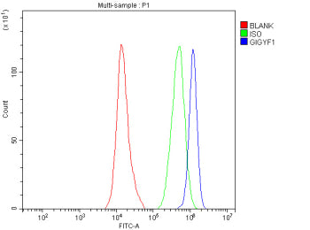 Flow Cytometry analysis of SH-SY5Y cells using anti-GIGYF1 antibody. Overlay histogram showing SH-SY