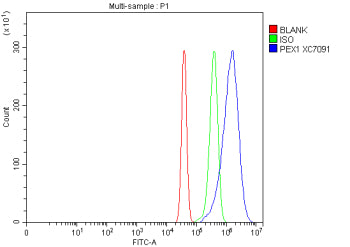 Flow Cytometry analysis of mouse Neuro-2a cells using anti-Peroxin 1 antibody. Overlay histogram sho