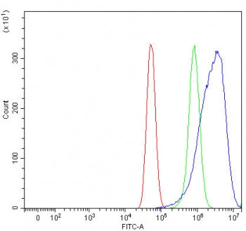 Flow cytometry testing of human U-87 MG cells with SLC35D1 antibody at 1ug/million cells (blocked wi