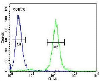 Flow cytometry testing of fixed and permeabilized human HEK293 cells with KMT5C antibody; Blue=isoty