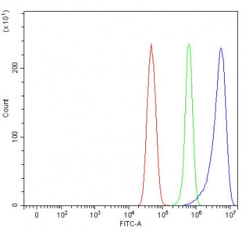 Flow cytometry testing of fixed and permeabilized human U-251 cells with ROCK1 antibody at 1ug/milli
