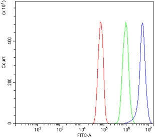 Timp1 Antibody