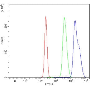 Flow cytometry testing of human HepG2 cells with CENPF antibody at 1ug/million cells (blocked with g