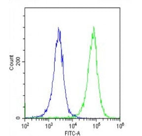 Flow cytometry testing of fixed and permeabilized human HeLa cells with CDKN2A antibody; Blue=isotyp