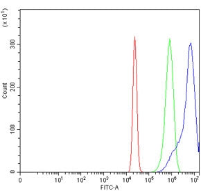 ADAMTS9 Antibody