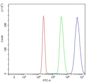 PPAR alpha Antibody / PPARA