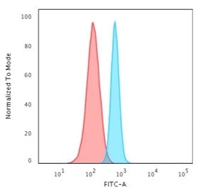 SPTBN2 Antibody / Spectrin beta III