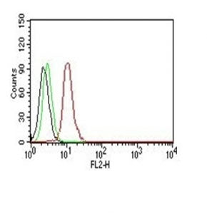 Flow Cytometry testing of Jurkat cells. Black: cells alone; Green: isotype control; Red: PE-labeled