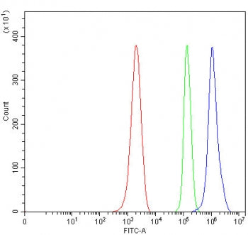 Flow cytometry testing of mouse ANA-1 cells with OGFr antibody at 1ug/million cells (blocked with go