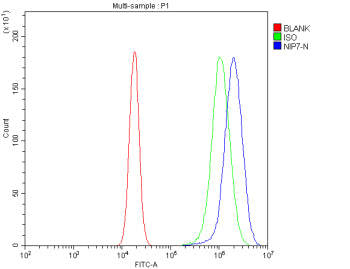 Flow Cytometry analysis of 293T cells using anti-NIP7 antibody. Overlay histogram showing 293T cells