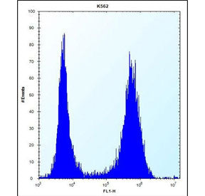Flow cytometry testing of fixed and permeabilized human K562 cells with MT-ND3 antibody (right) and