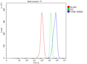 Flow Cytometry analysis of THP-1 cells using anti-TGM5 antibody. Overlay histogram showing THP-1 cel
