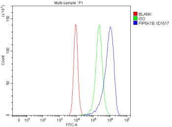 Flow Cytometry analysis of CACO-2 cells using anti-PIP5K1B antibody. Overlay histogram showing CACO-