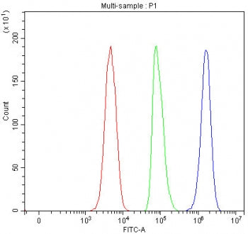 Flow cytometry testing of fixed and permeabilized human SH-SY5Y cells with LYPD6 antibody at 1ug/mil