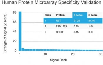 Analysis of HuProt(TM) microarray containing more than 19,000 full-length human proteins using RET a