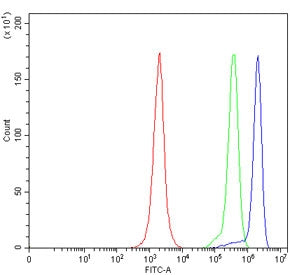 Flow cytometry testing of human JK cells with THEMIS antibody at 1ug/million cells (blocked with goa