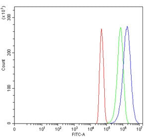 Flow cytometry testing of human U-251 cells with Platelet-derived growth factor C antibody at 1ug/mi
