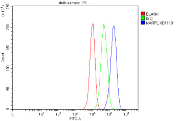 Flow Cytometry analysis of MCF-7 cells using anti-CIAO3 antibody. Overlay histogram showing MCF-7 ce